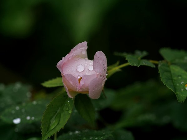 Descubre los Equipos Esenciales para una Casa Perfecta